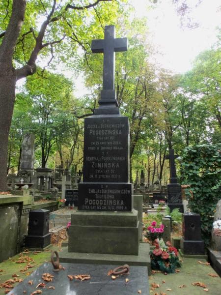 Zdjęcie grobu Emilja Pogodzińska (2)