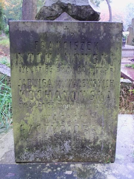 Zdjęcie grobu Franciszek Kochanowski (2)
