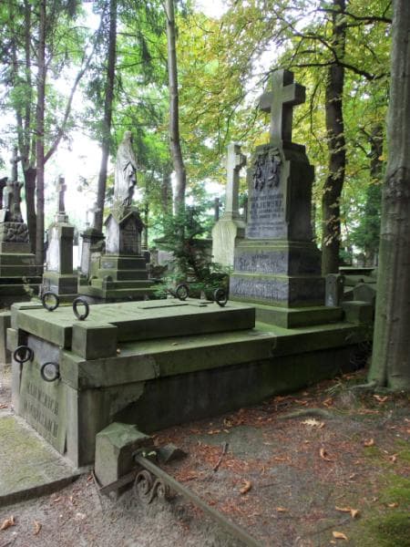 Zdjęcie grobu Antoni Majewski (1)
