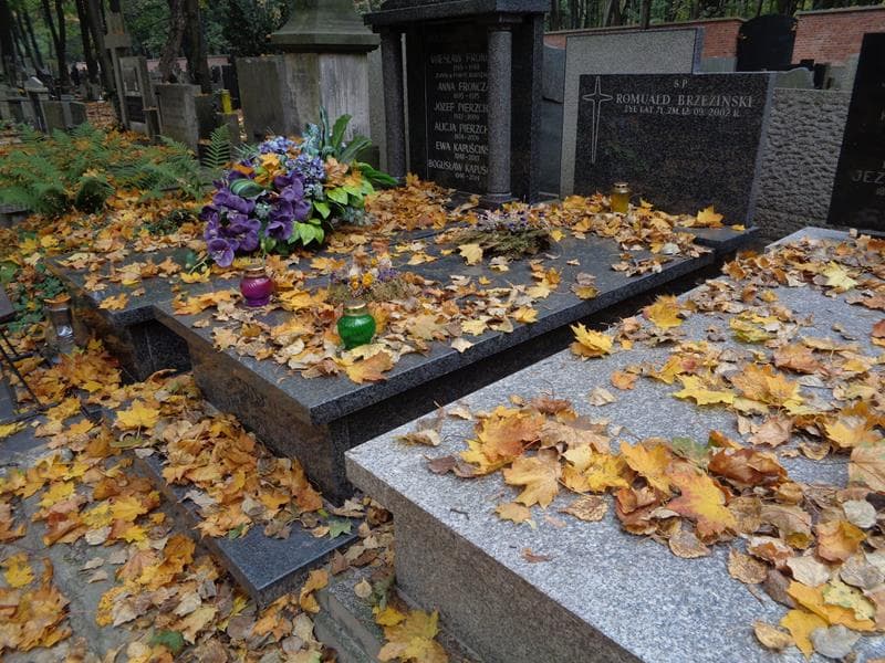Zdjęcie grobu: Romuald Brzeziński