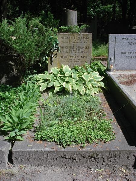 Zdjęcie grobu: Pelagia Domańska