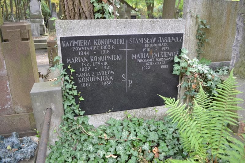Zdjęcie grobu Stanisław Jasiewicz (2)