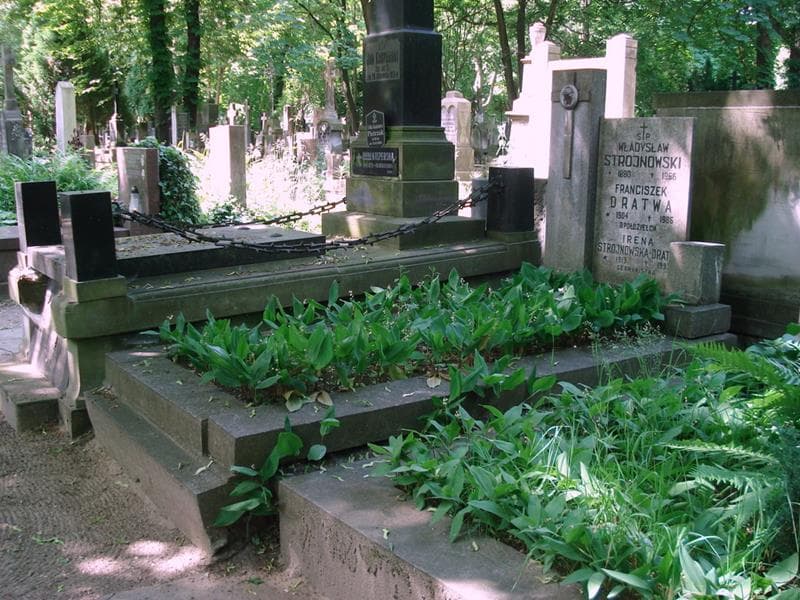 Zdjęcie grobu: Władysław Strojnowski