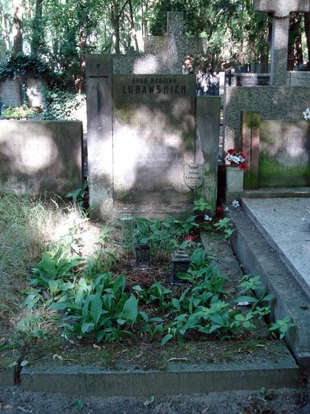Zdjęcie grobu: Stanisław Lubawski