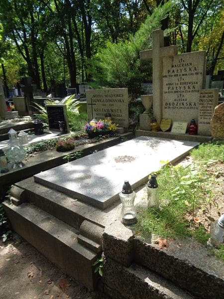 Zdjęcie grobu: Anna Pałyska