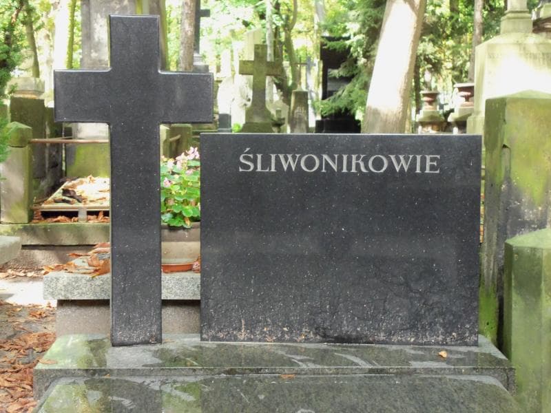 Zdjęcie grobu Symforian Kozłowski (2)