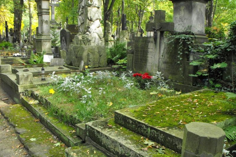 Zdjęcie grobu Krystyna Zofia Brzezińska (1)