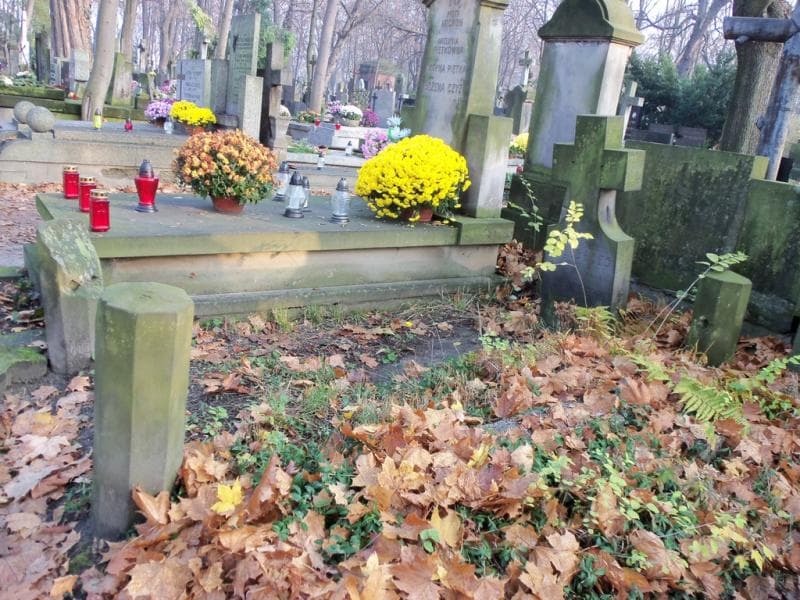 Zdjęcie grobu Aleksander Jezierski (1)