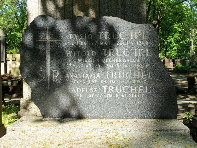 Zdjęcie grobu Anastazja Truchel (2)