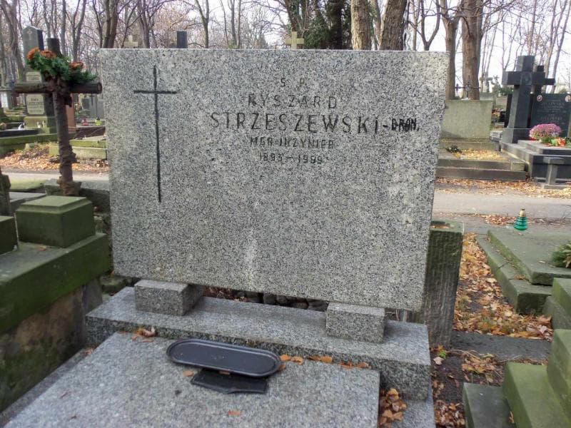 Zdjęcie grobu Bronisława Strzeszewska (2)