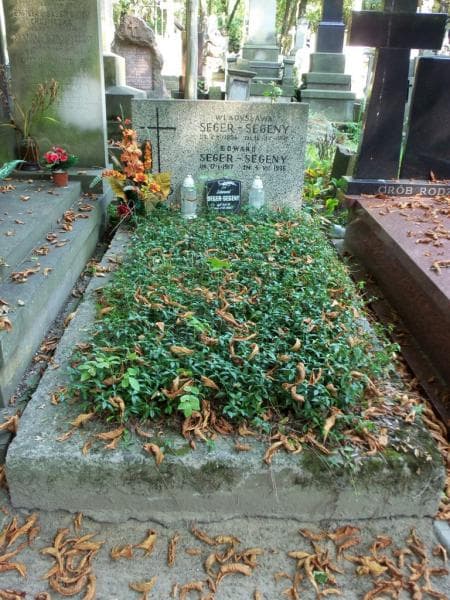 Zdjęcie grobu: Edward Seger-Segeny