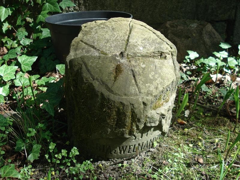 Zdjęcie grobu Maria Z Welmanów* (1)