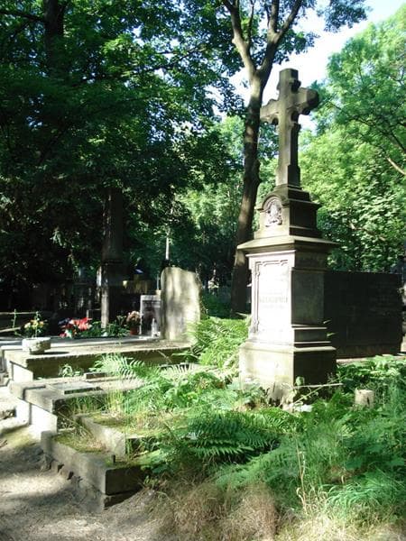 Zdjęcie grobu: Władysław Alexandrowicz