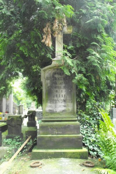Zdjęcie grobu Józef Antonowicz (1)
