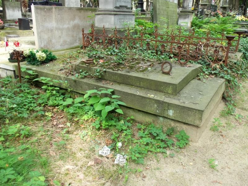 Zdjęcie grobu Michalina Darewska (1)