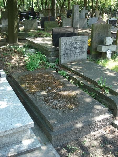 Zdjęcie grobu Antoni Biliński (2)