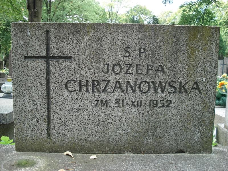 Zdjęcie grobu Józefa Chrzanowska (2)