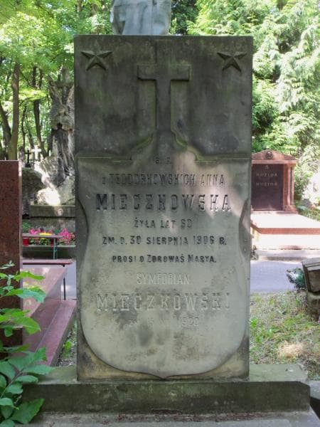 Zdjęcie grobu Symforian Mieczkowski (2)