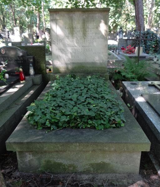 Zdjęcie grobu Zofia Janik (1)