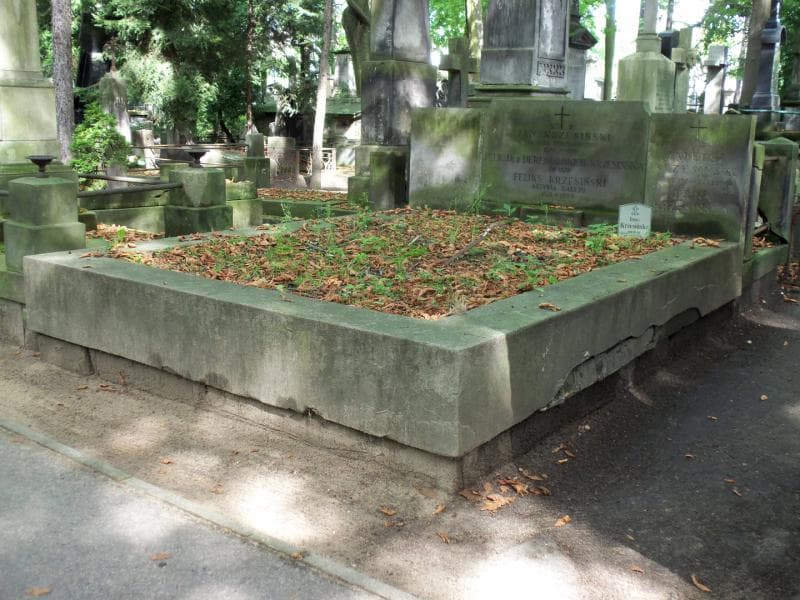 Zdjęcie grobu Tadeusz Krzesiński (1)