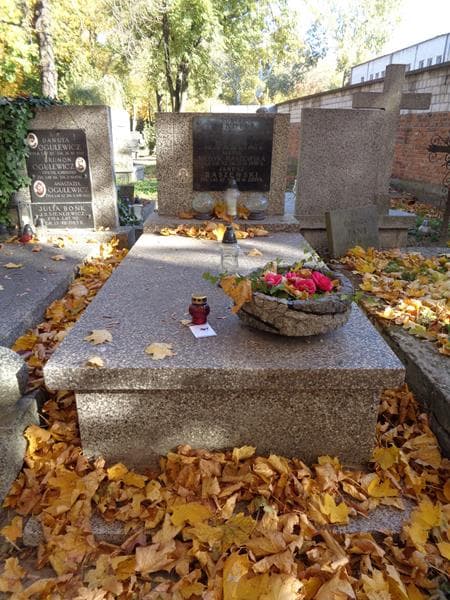 Zdjęcie grobu Robert Wandelt (1)