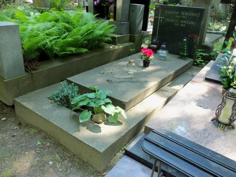 Zdjęcie grobu Zygmunt Maleszko (1)