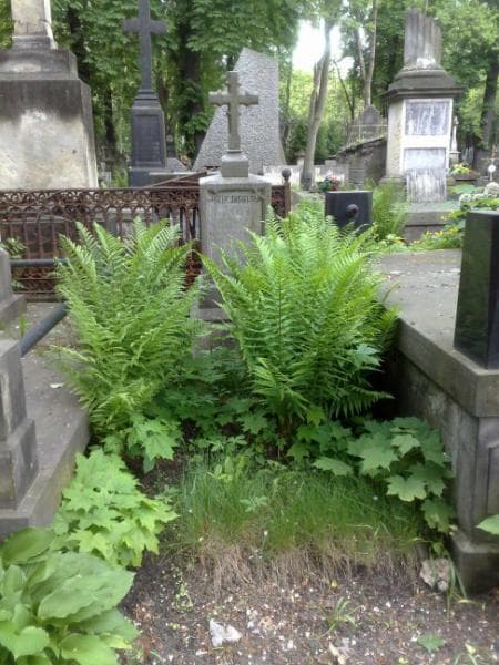 Zdjęcie grobu: Józef Jagielski