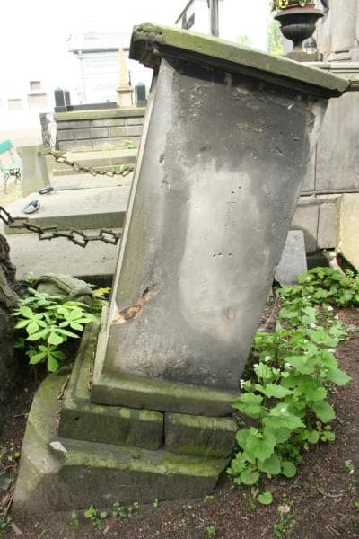 Zdjęcie grobu Apolonia Tarnowska (1)