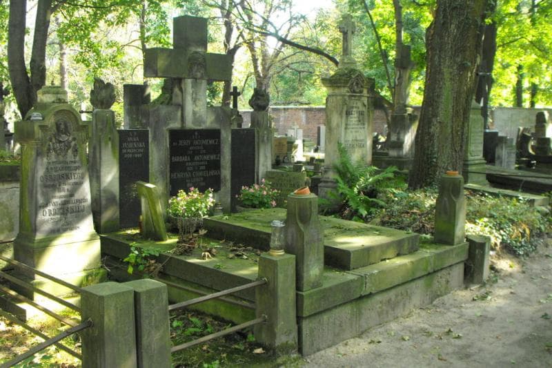 Zdjęcie grobu Barbara Antoniewicz (1)