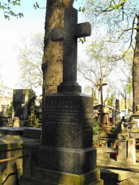 Zdjęcie grobu Ignacy Józef Badowski (1)