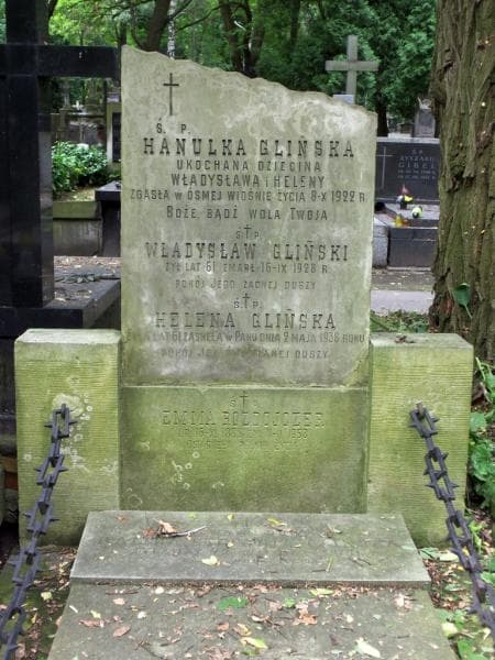 Zdjęcie grobu Emma Rozdojczer (2)
