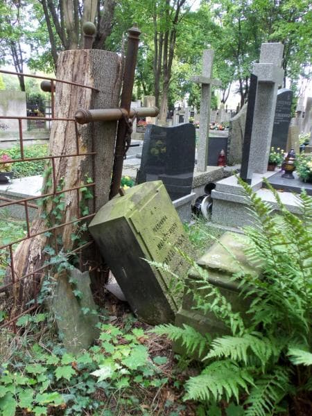 Zdjęcie grobu Marjanna Piotrowska (2)