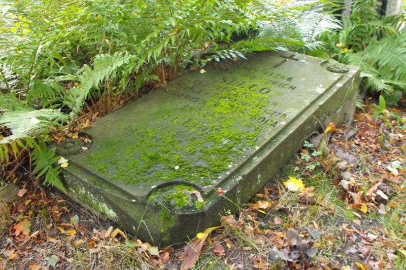 Zdjęcie grobu Franciszka Sello (2)