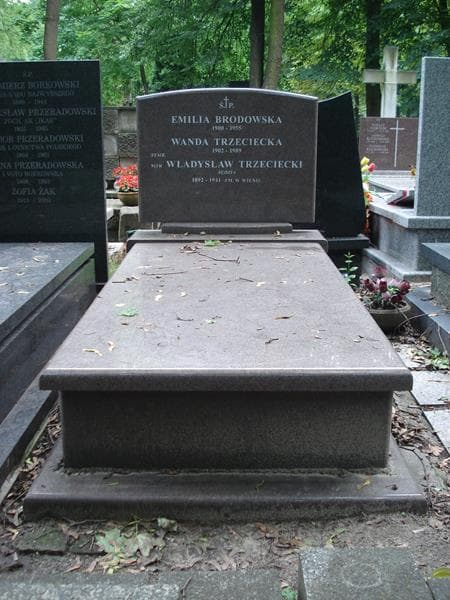 Zdjęcie grobu: Emilia Brodowska