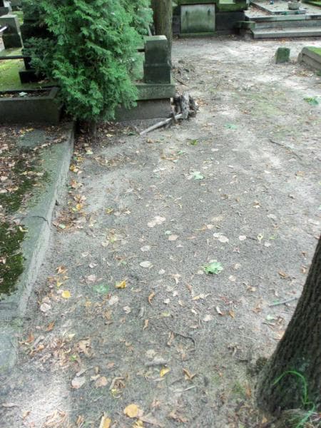 Zdjęcie grobu: Laurysiewiczowie