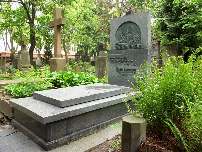 Zdjęcie grobu Marcjan Krzywicki (1)