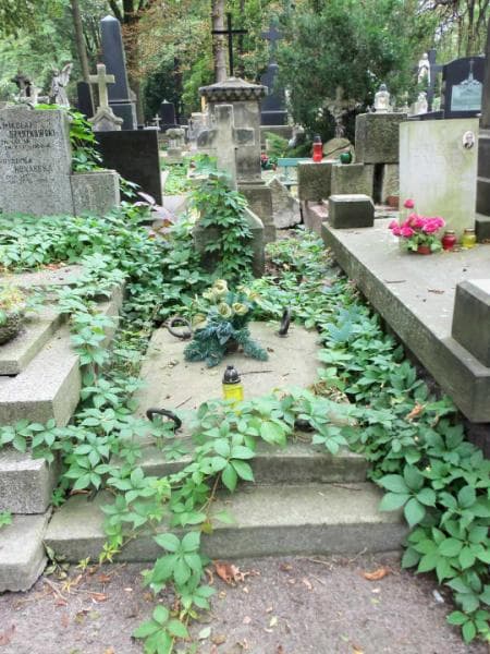 Zdjęcie grobu: Tekla Von Smyk