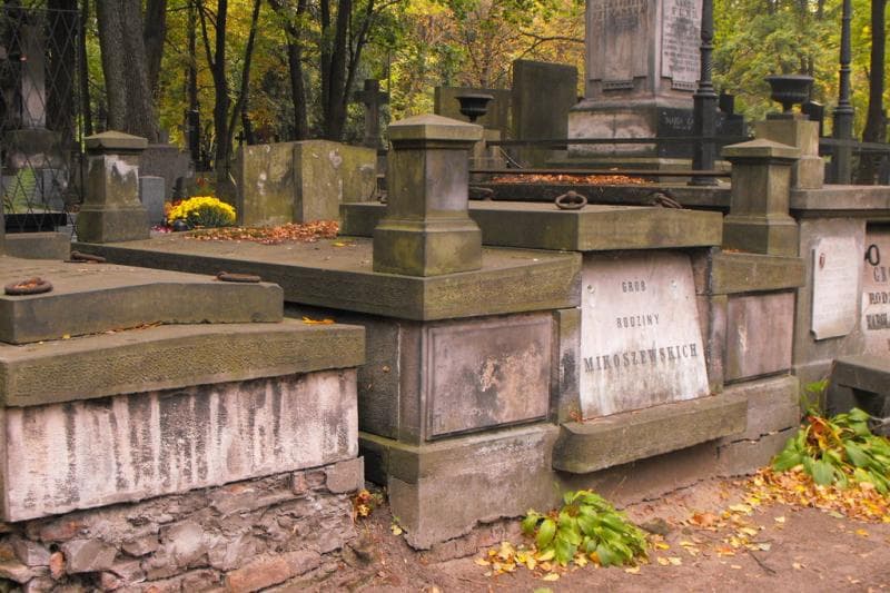 Zdjęcie grobu Mikoszewscy (1)