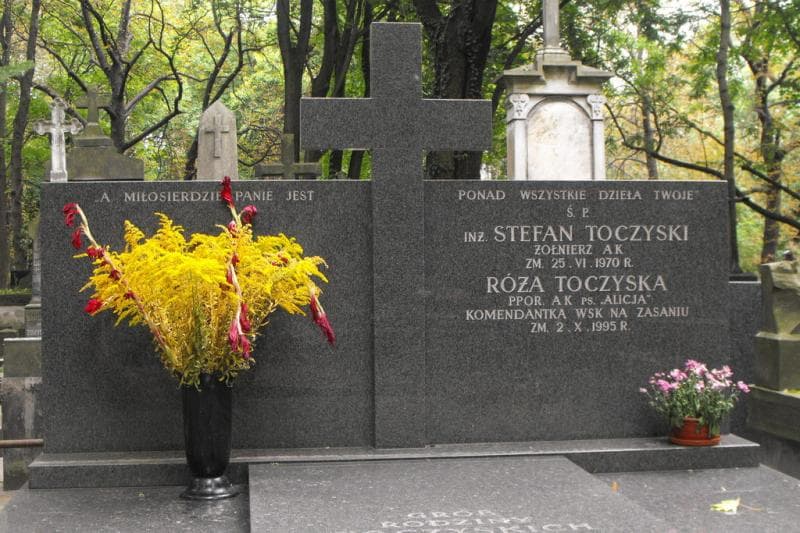 Zdjęcie grobu Stefan Toczyski (2)