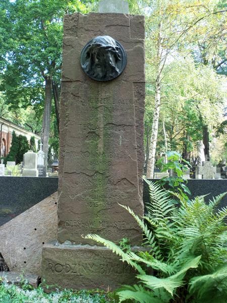 Zdjęcie grobu Franciszek Białek (2)
