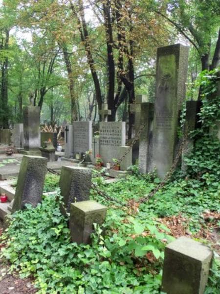 Zdjęcie grobu Paweł Nowicki (1)