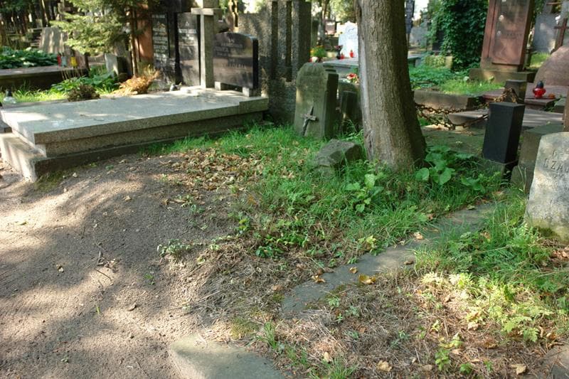 Zdjęcie grobu Eleonora Pawlak (1)