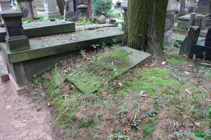 Zdjęcie grobu: Augusta Tikelman