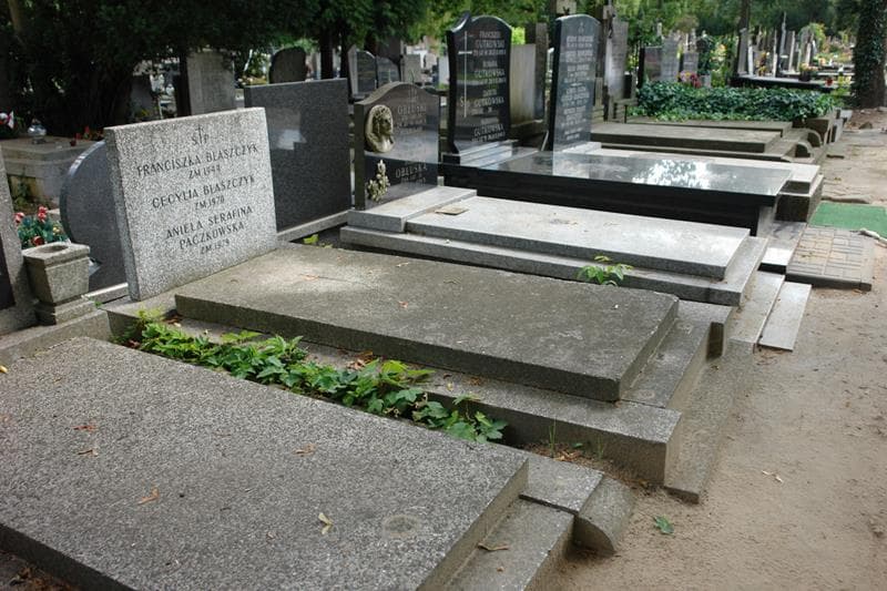 Zdjęcie grobu: Franciszka Błaszczyk