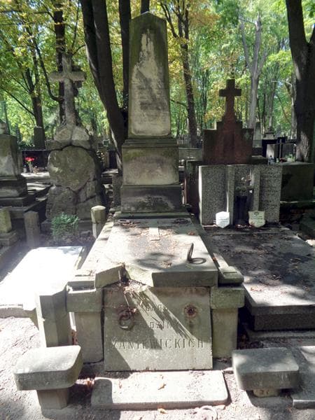 Zdjęcie grobu Antonina Leokadia Danowska (1)