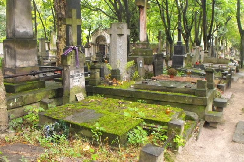 Zdjęcie grobu Zofia Nałęczowa (1)