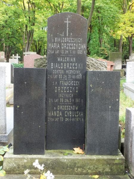 Zdjęcie grobu Wanda Cybulska (2)