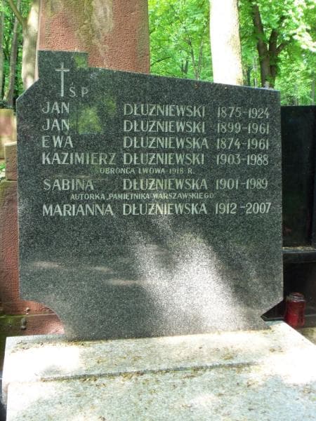 Zdjęcie grobu Jan Dłużniewski (2)