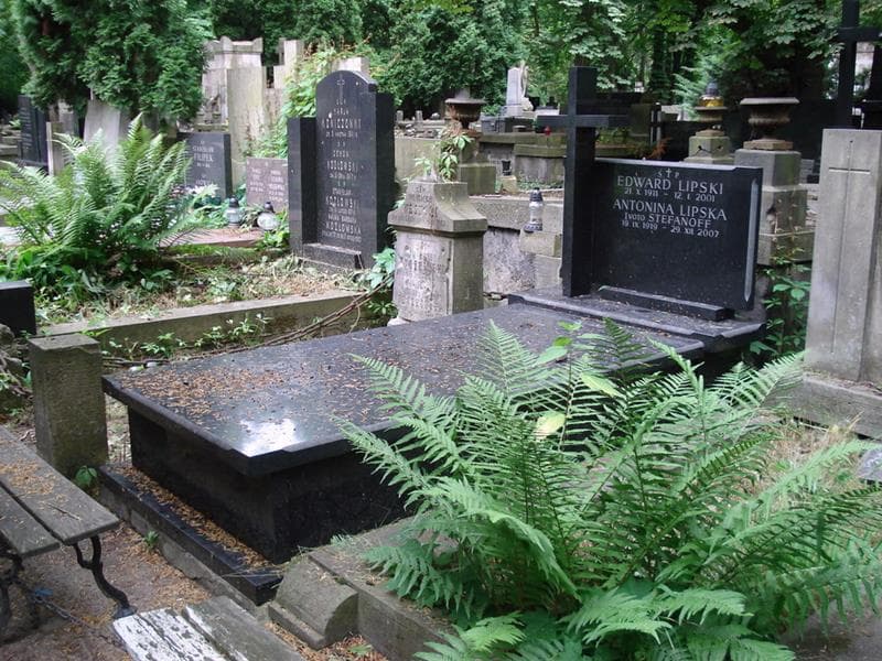 Zdjęcie grobu: Edward Lipski