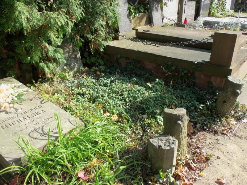 Zdjęcie grobu Władysław Kazimierz Michalski (1)